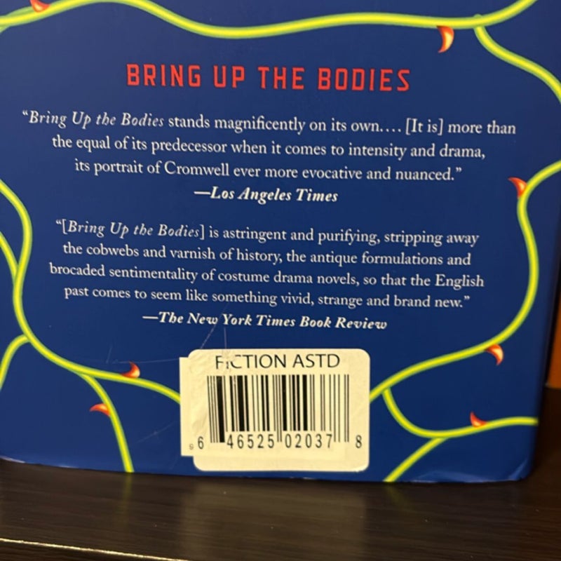 The Mirror and the Light (First US edition)