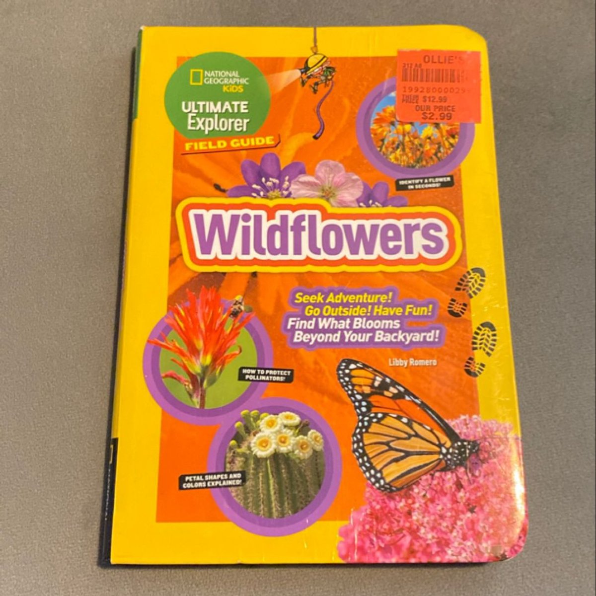 Ultimate Explorer Field Guide: Wildflowers by Libby Romero