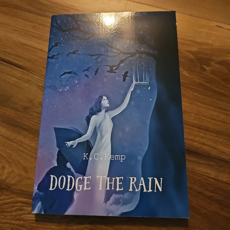 Dodge the Rain