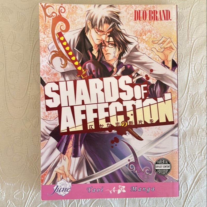 Shards of Affection (Yaoi)