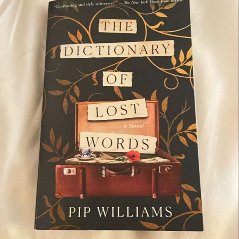 The Dictionary of Lost Words