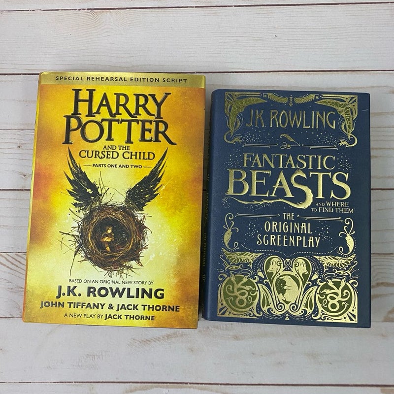 Harry Potter / Fantastic Beasts outlet Lot