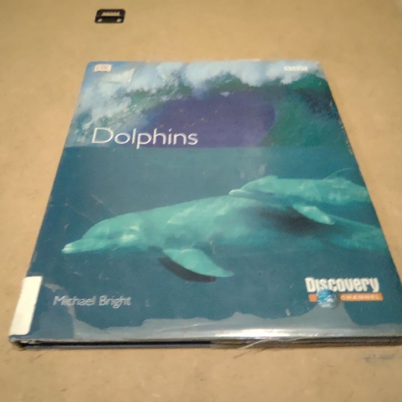 Dolphins
