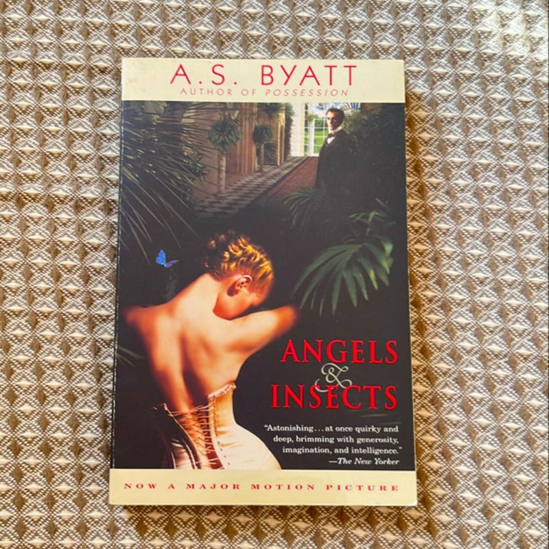 Angels and Insects