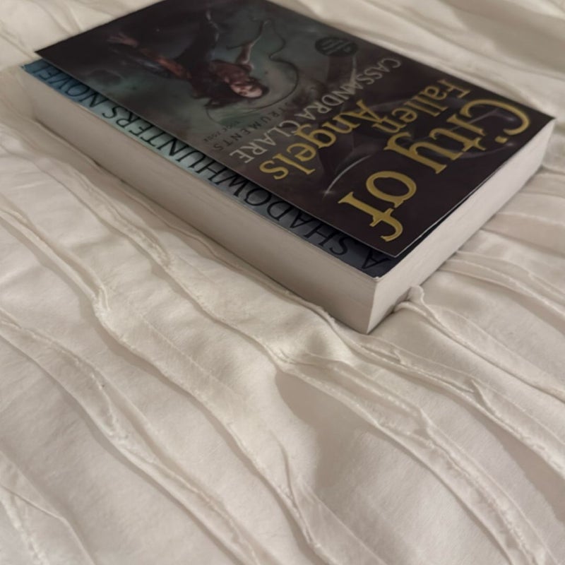 City of Fallen Angels