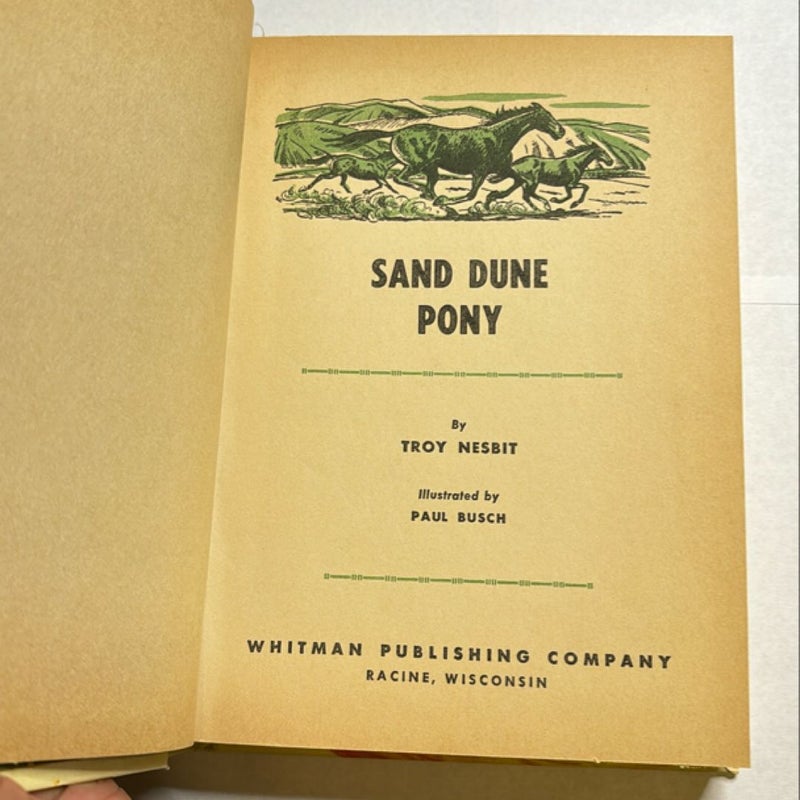 Sand Dune Pony