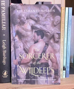 The Sorcerer of the Wildeeps