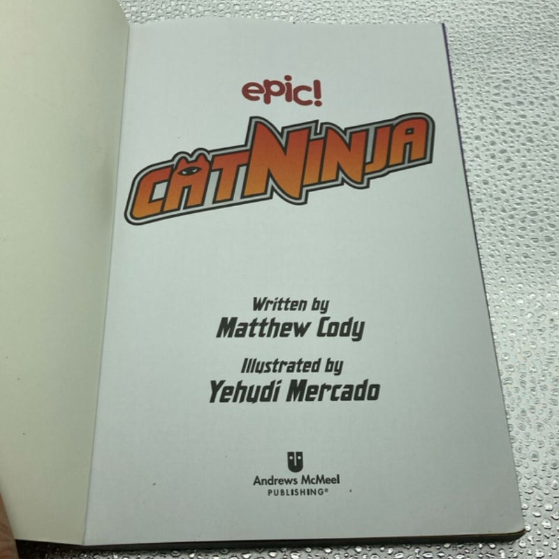 Cat Ninja