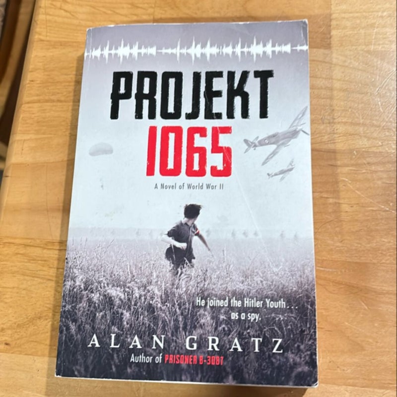 Projekt 1065