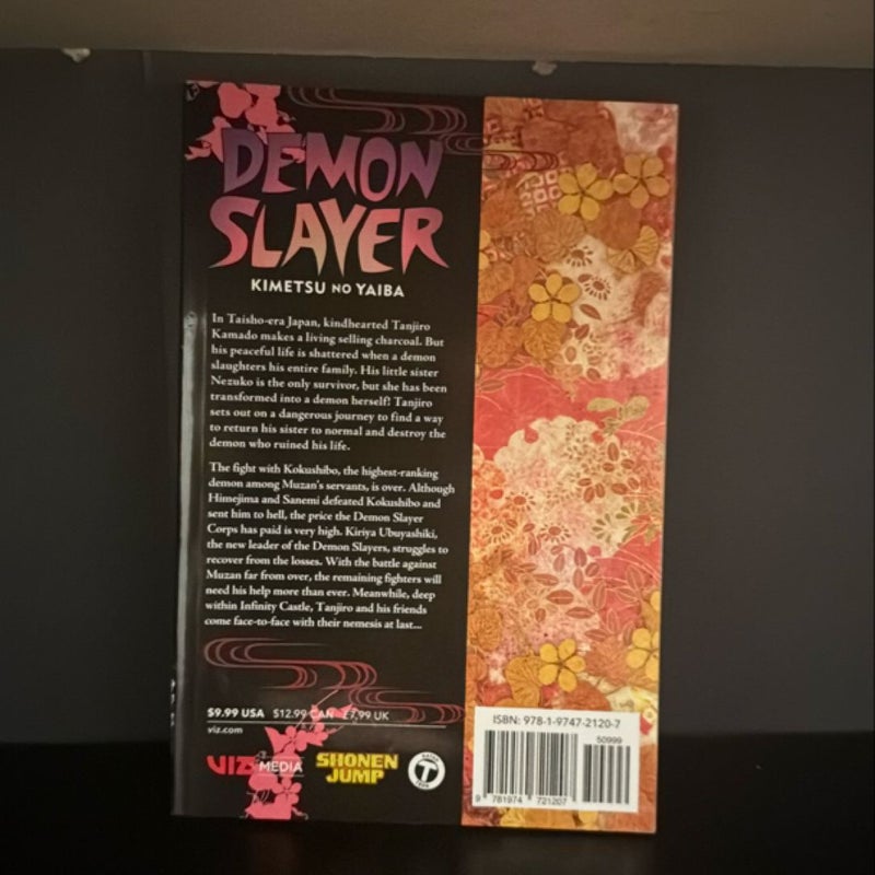 Demon Slayer: Kimetsu No Yaiba, Vol. 21