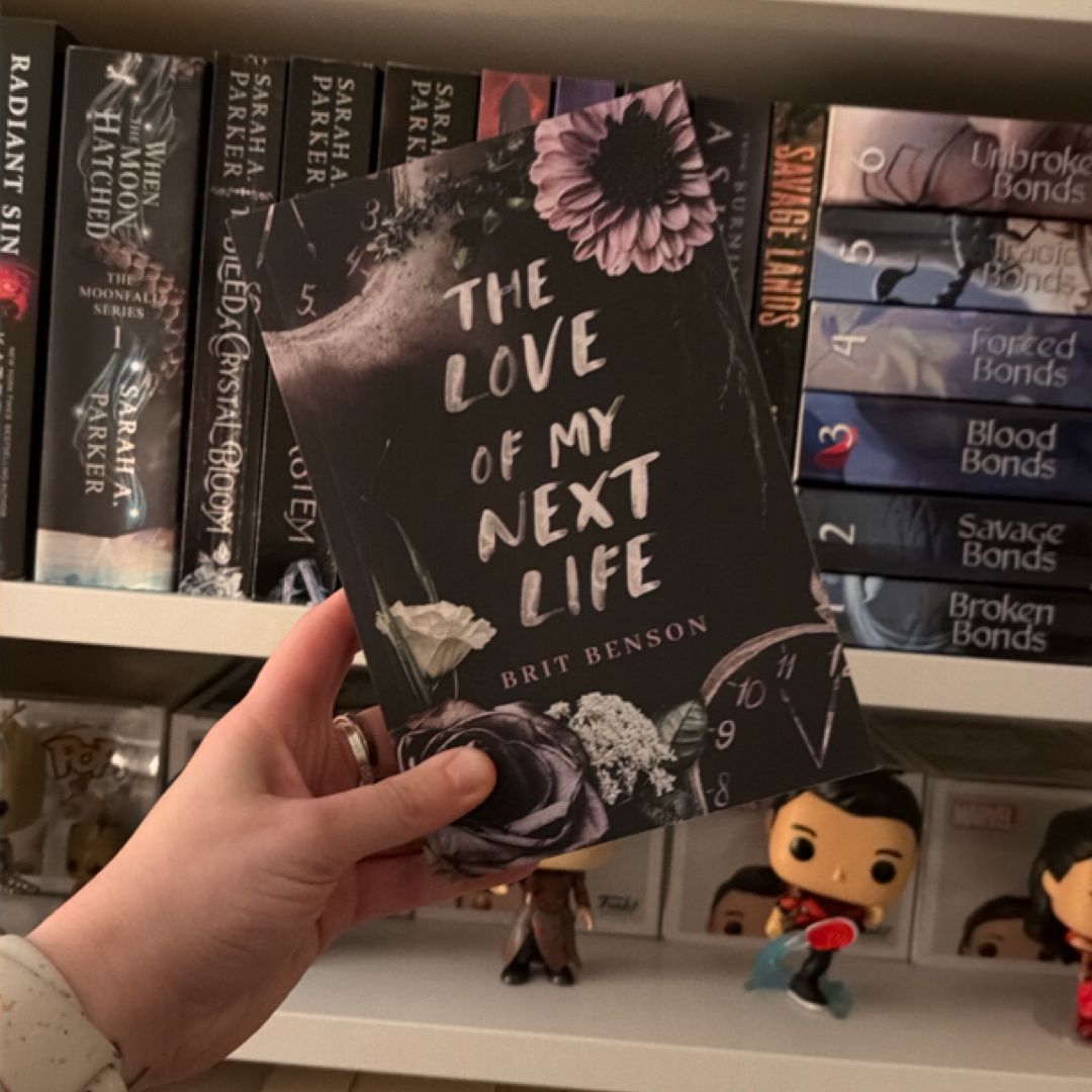 The Love of My Next Life