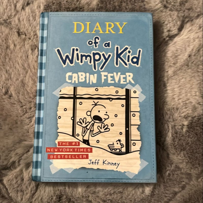 Diary of a Wimpy Kid # 6