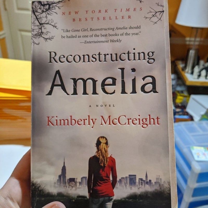 Reconstructing Amelia