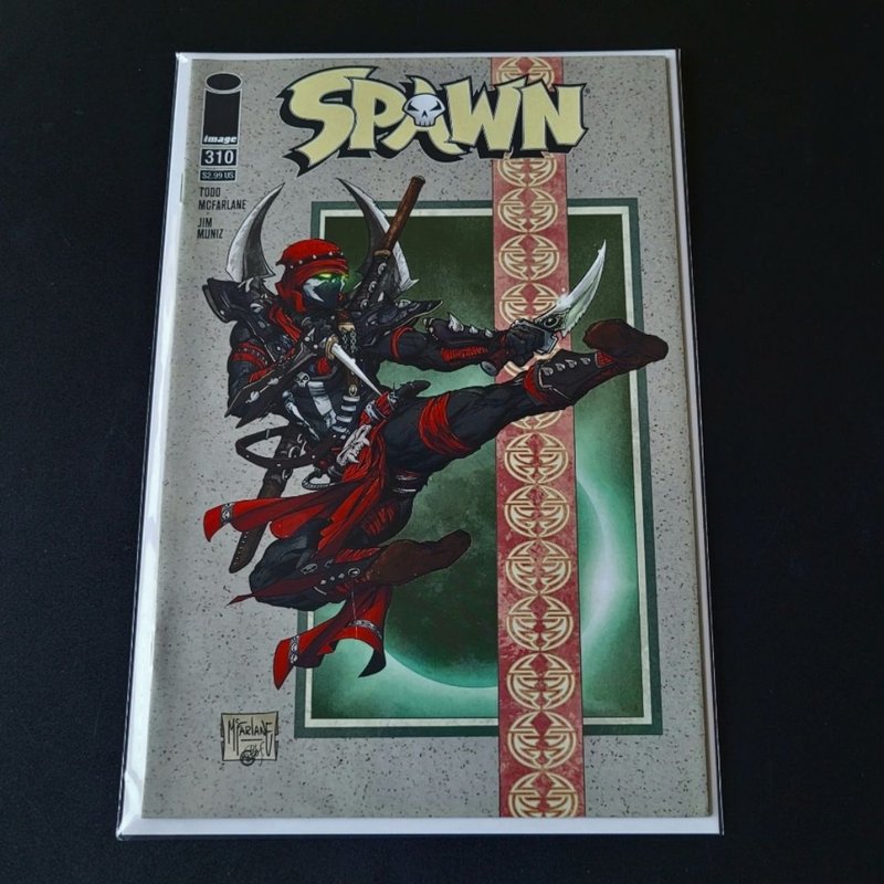 Spawn #310
