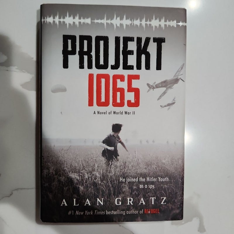 Projekt 1065