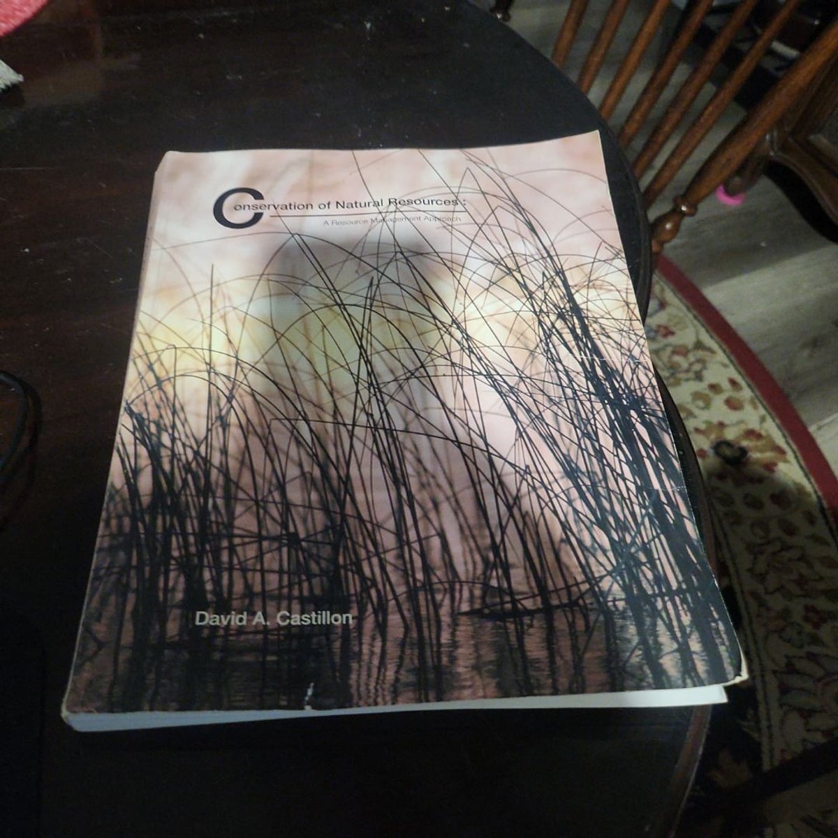 Conservation of Natural Resources by David A. Castillon