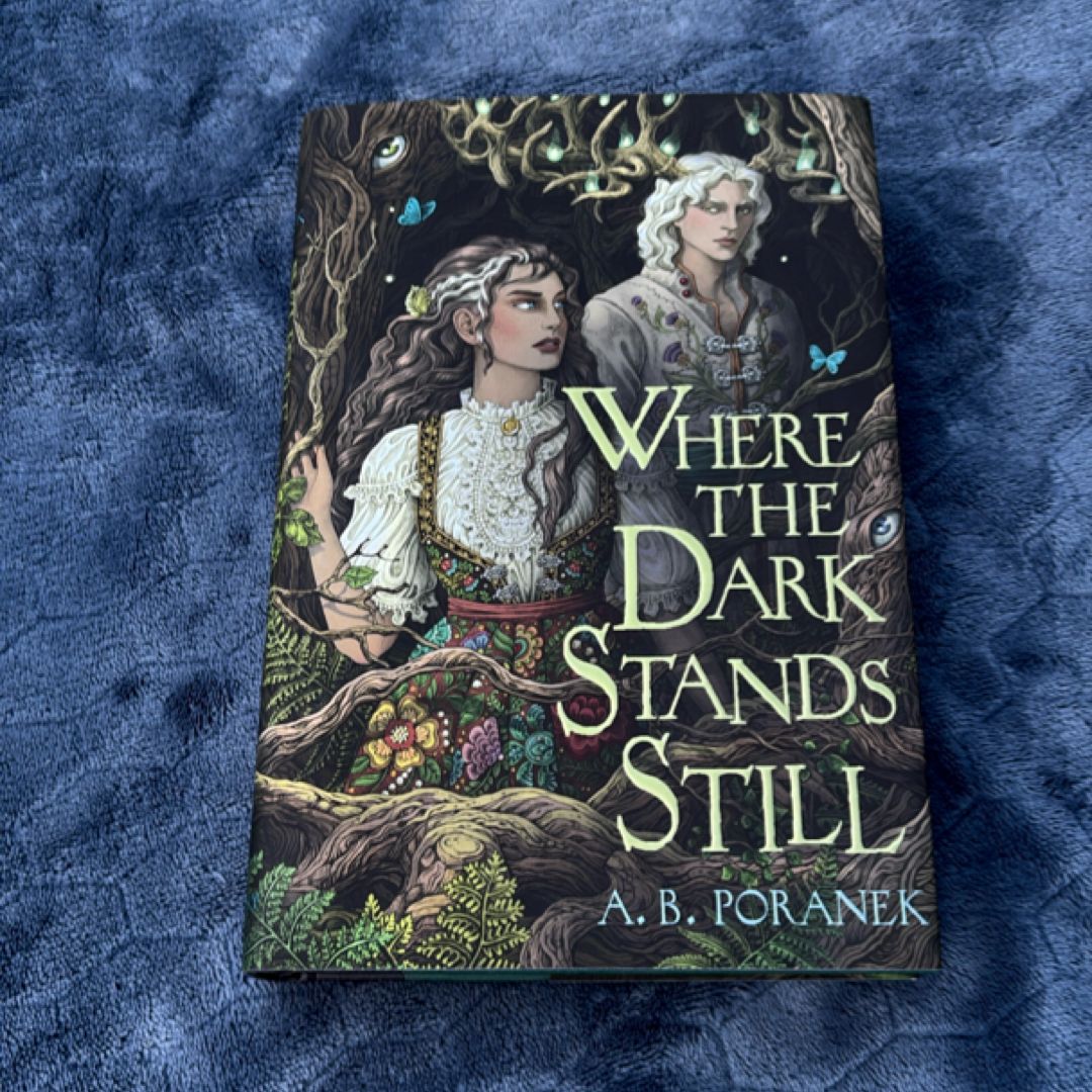 Where the Dark Stands Still