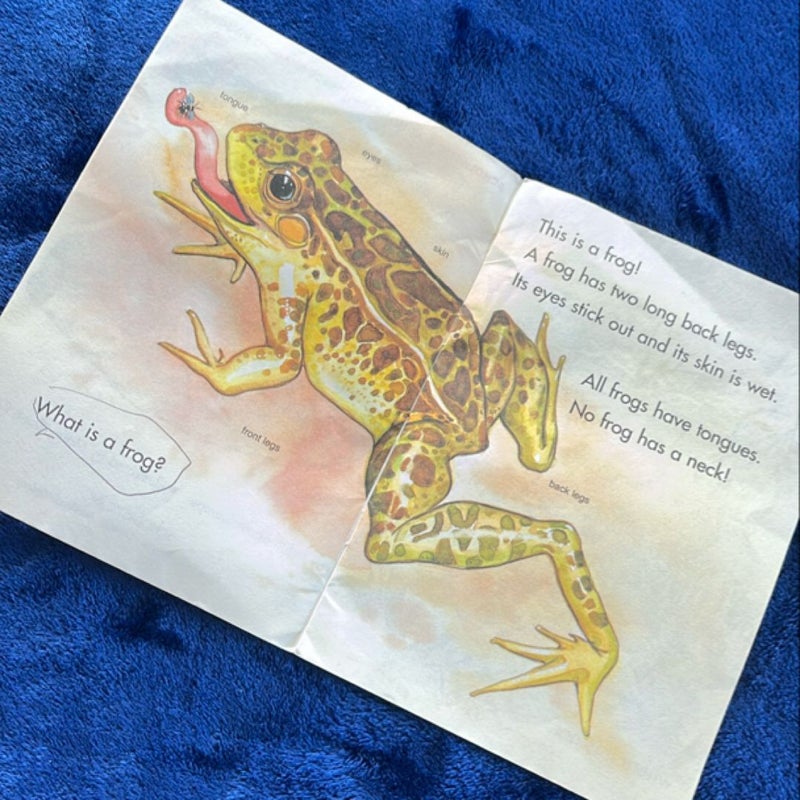 Frogs