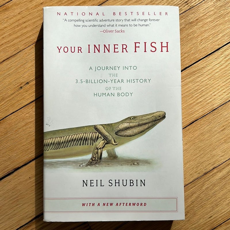 Your Inner Fish