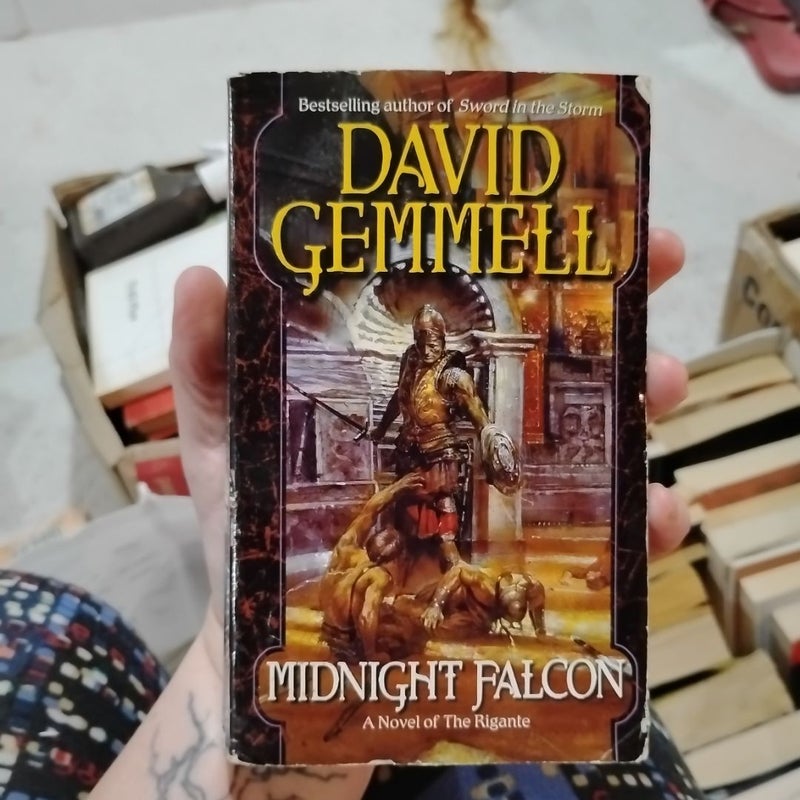 Midnight Falcon