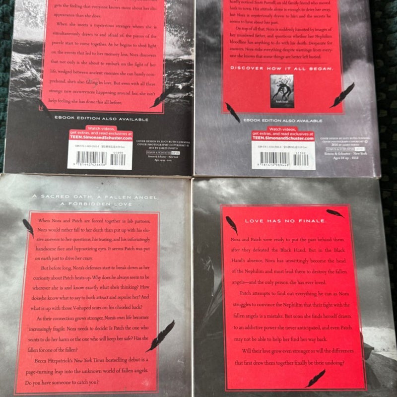 The Hush, Hush saga