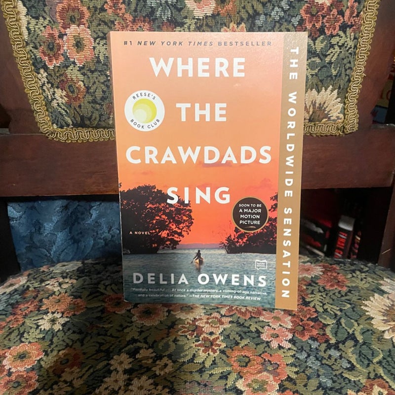 Where the Crawdads Sing
