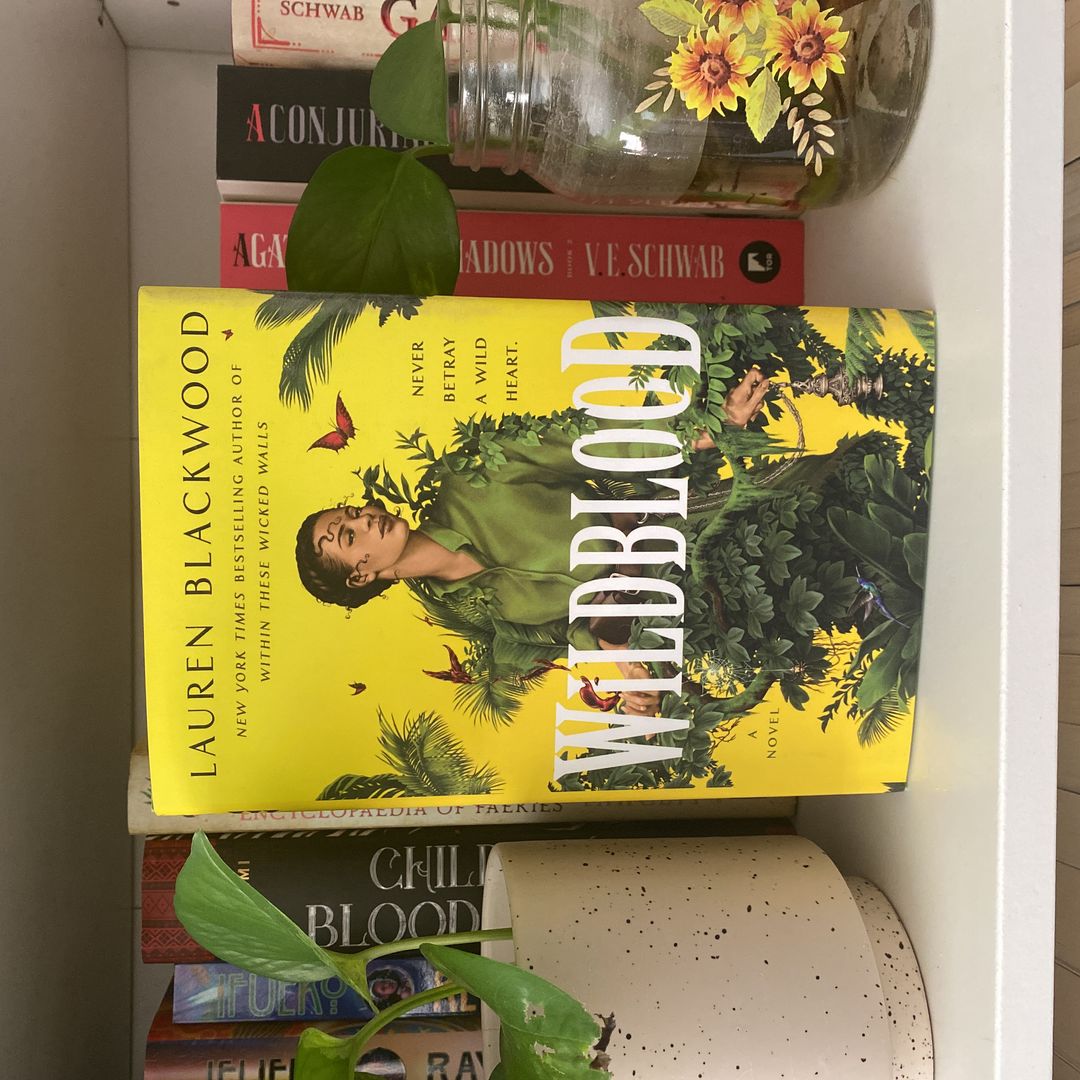 Sale image for dd86701b-f685-45a4-be83-1826c3ab1bcf-GhNTaNjiTETTiHdS1ZSXv3HhaP42