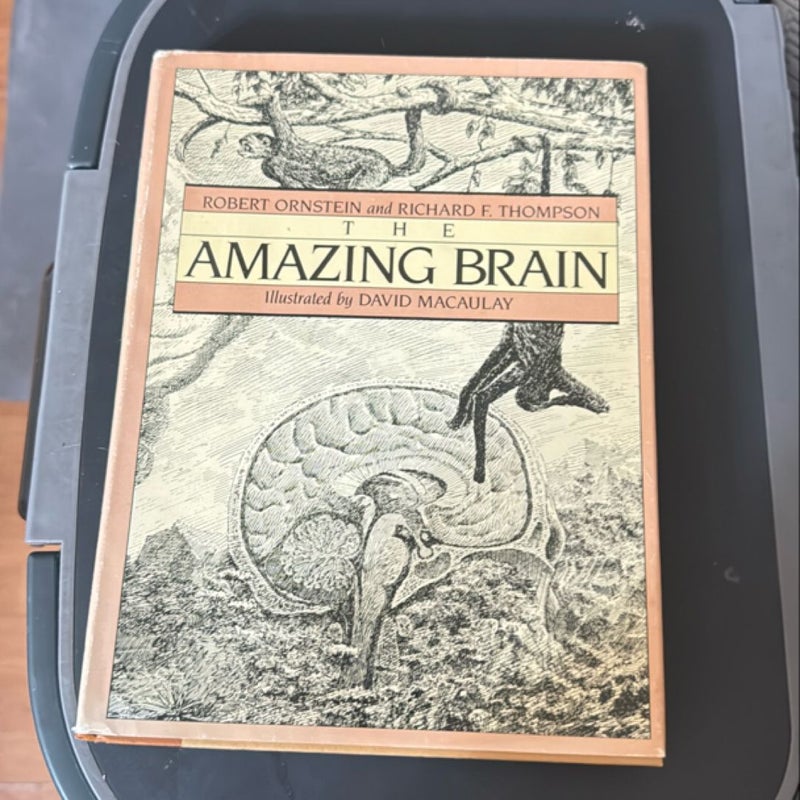 The amazing brain 