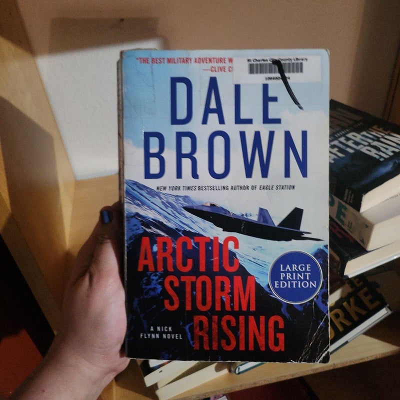 Arctic Storm Rising