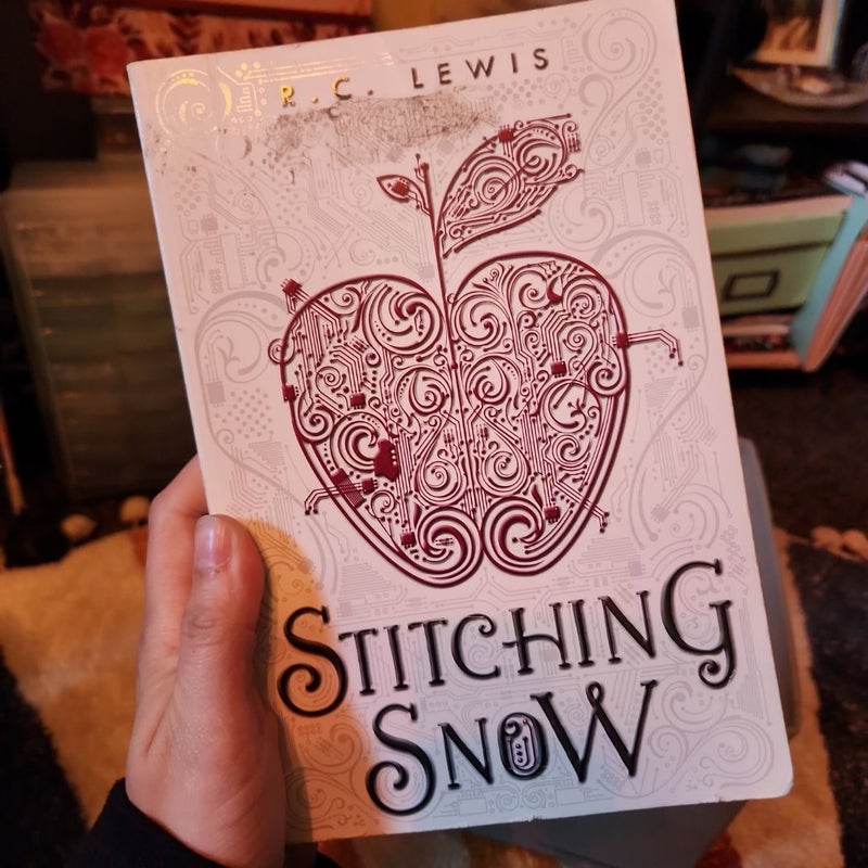 Stitching Snow