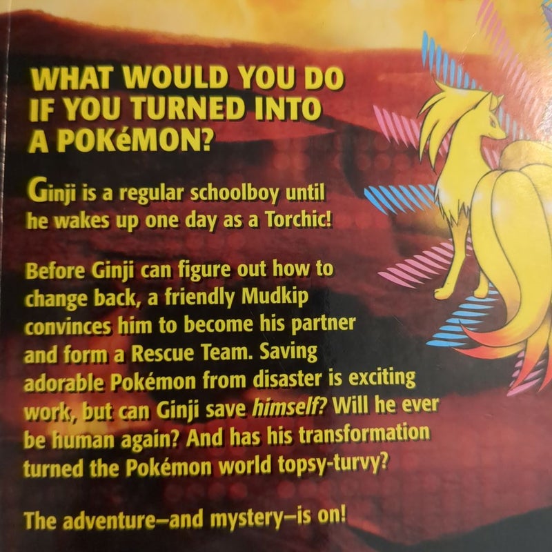 Pokémon Mystery Dungeon: Ginji's Rescue Team