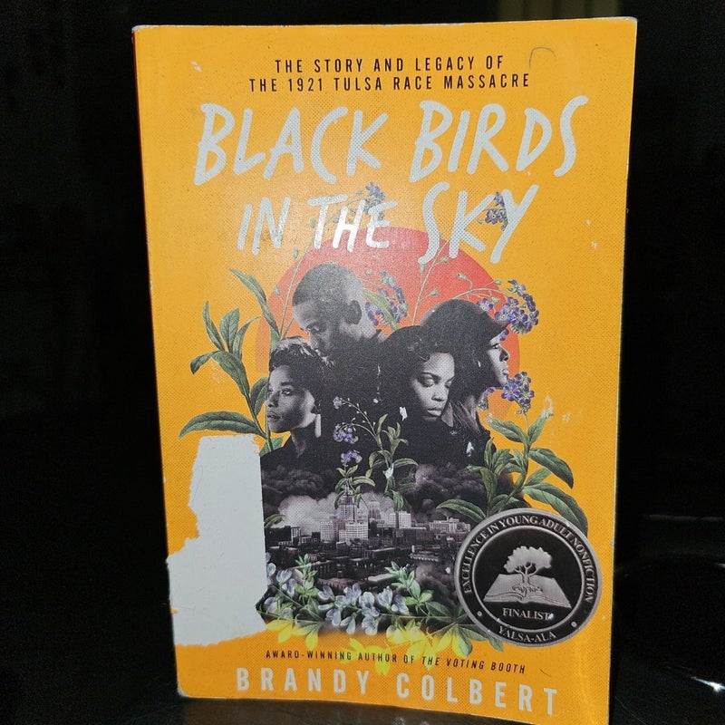 Black Birds in the Sky