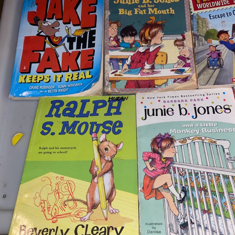 Julie B Jones and Flat Stanley Kids Book bundle