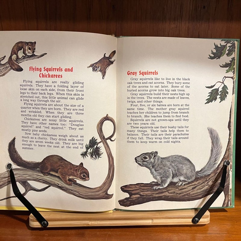 Vintage Children's Books -- Three Joe Maniscalco Books 1960s