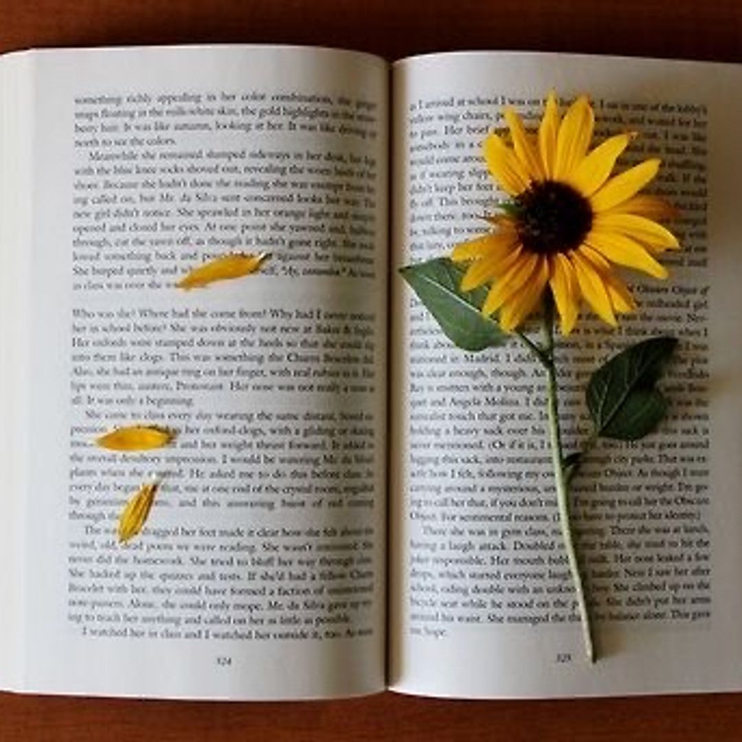 Avigayil Goldfeder 🌻