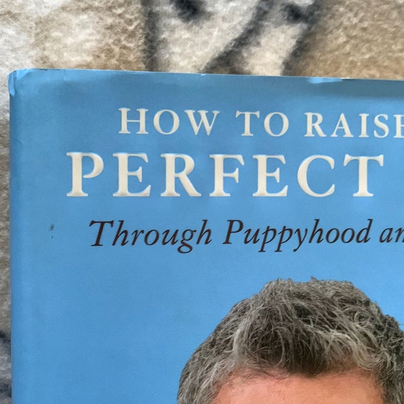 How to Raise the Perfect Dog