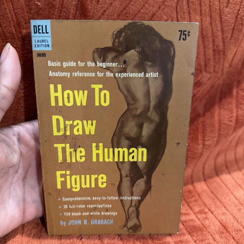 How to draw the human figure 