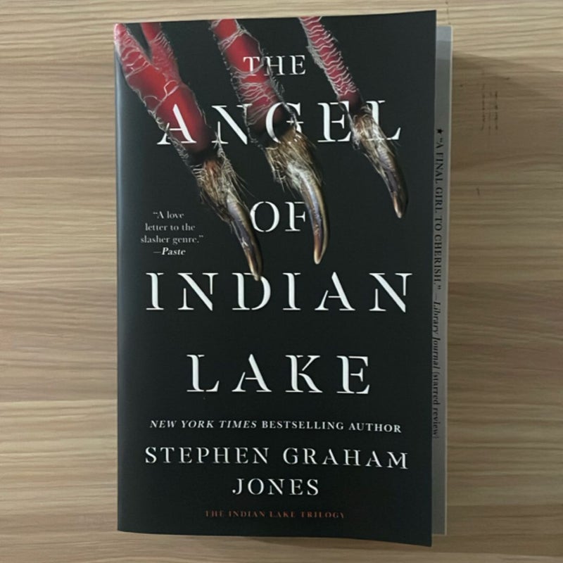 The Angel of Indian Lake