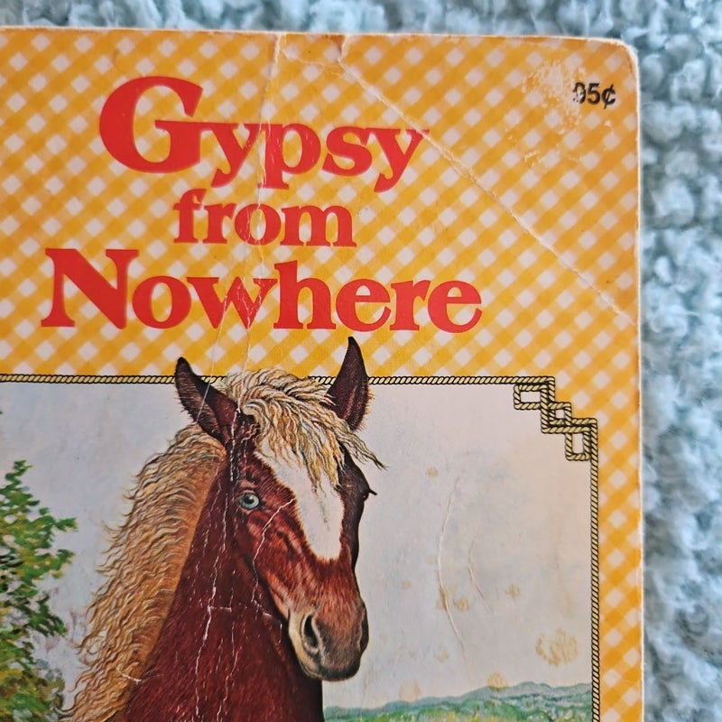 Juvenile horse book collection assorted books (F & NF)