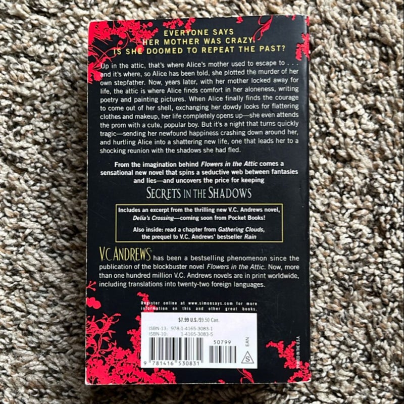Secrets in the Shadows (vintage Stepback )