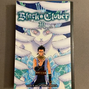 Black Clover, Vol. 30