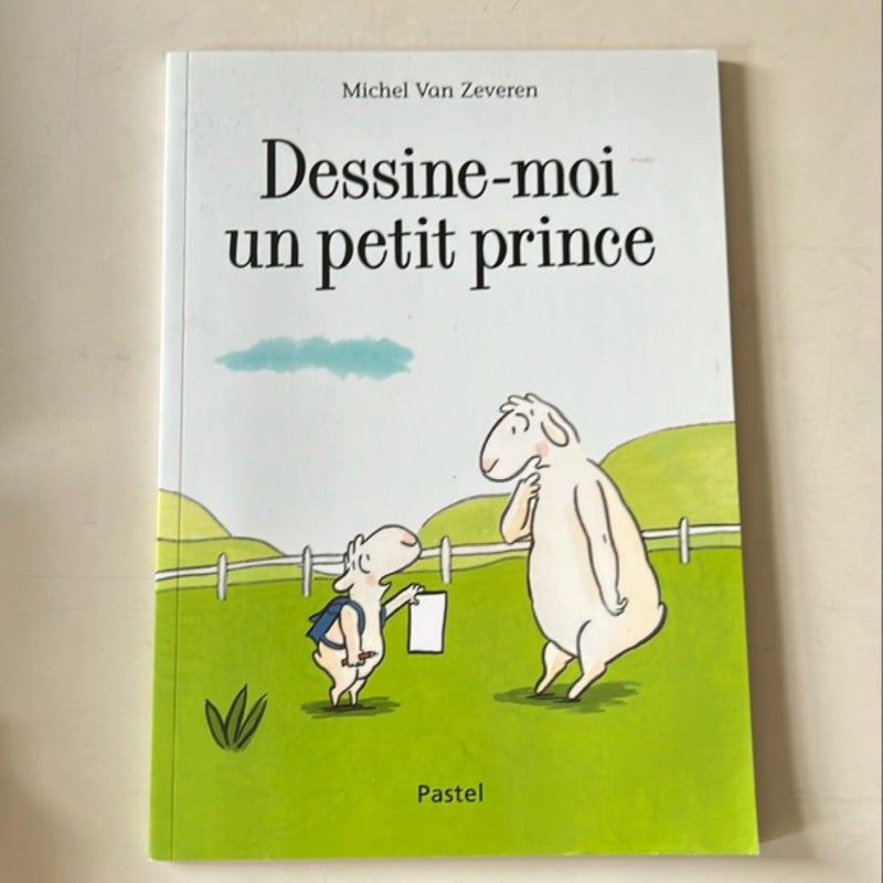 Dessine moi un petit prince 