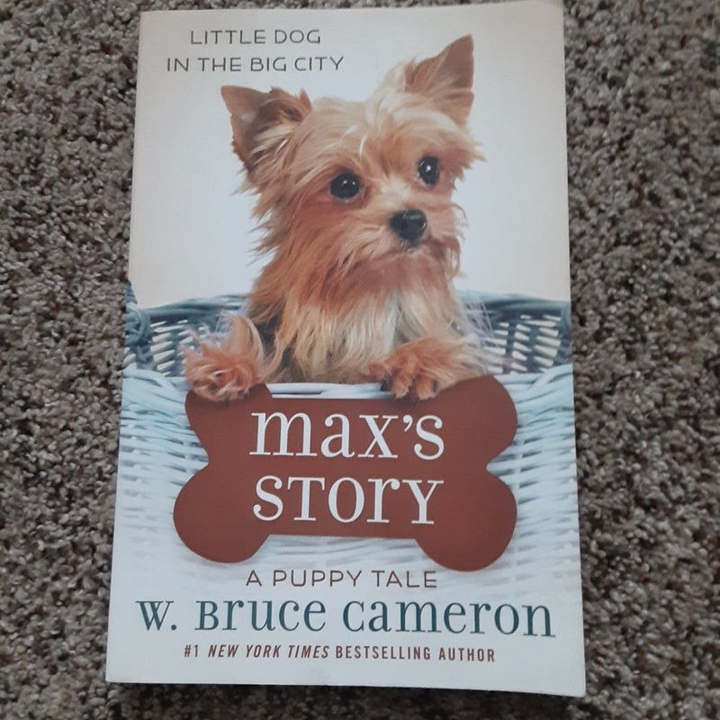 Max's Story