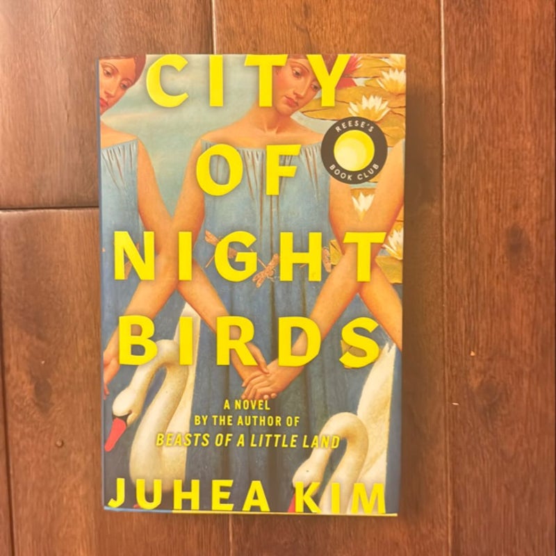 City of Night Birds