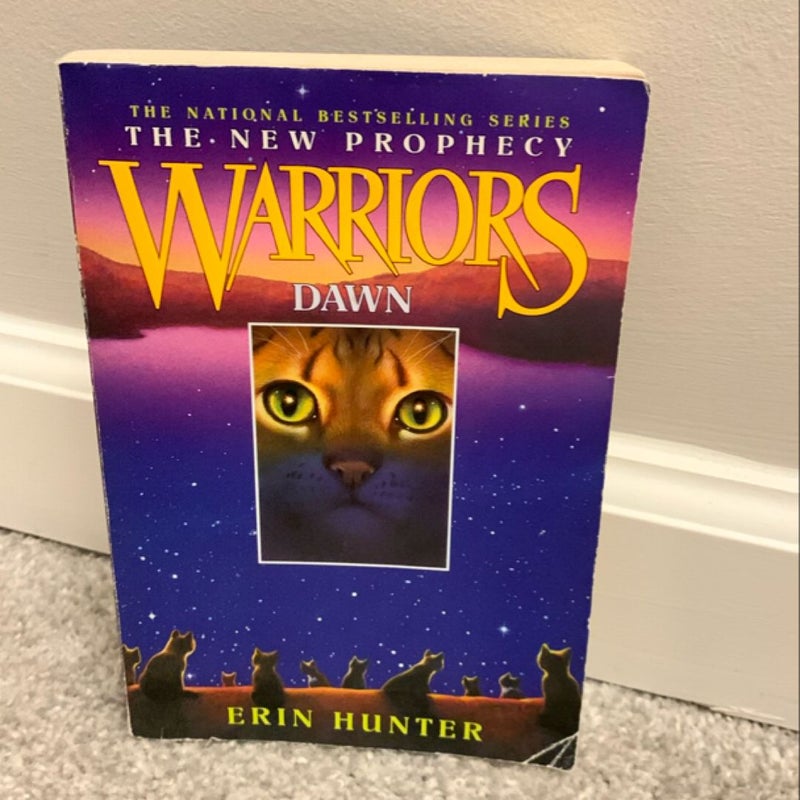 Warriors: Dawn