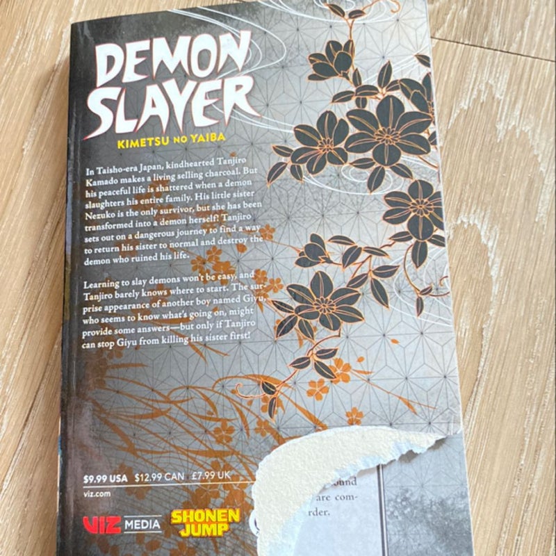 Demon slayer volume 1