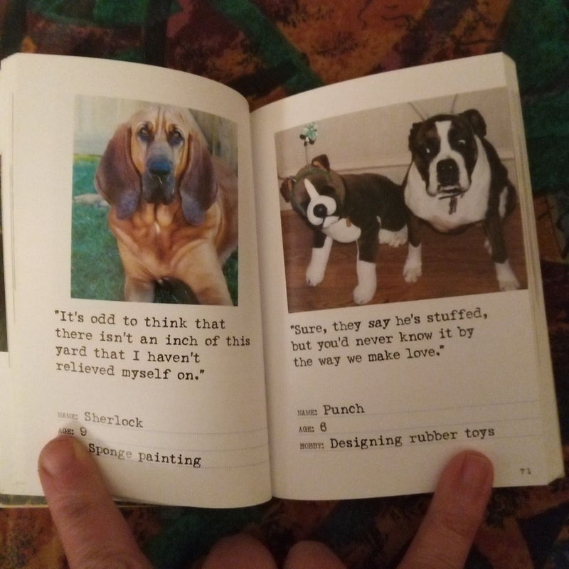 Bad Dog