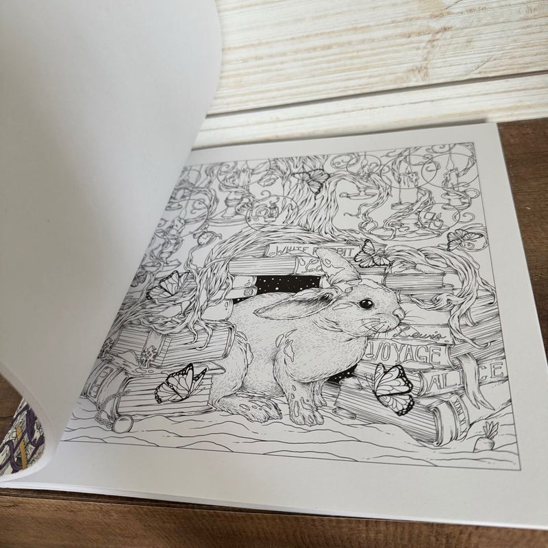Mythographic Color and Discover: Wild Winter
