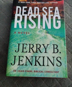 Dead Sea Rising