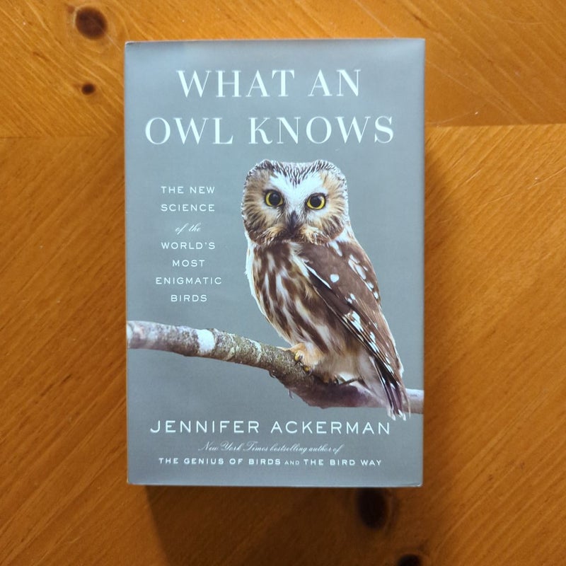 What an Owl Knows